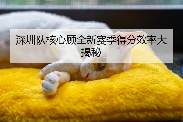 深圳队核心顾全新赛季得分效率大揭秘（VSPORTS）